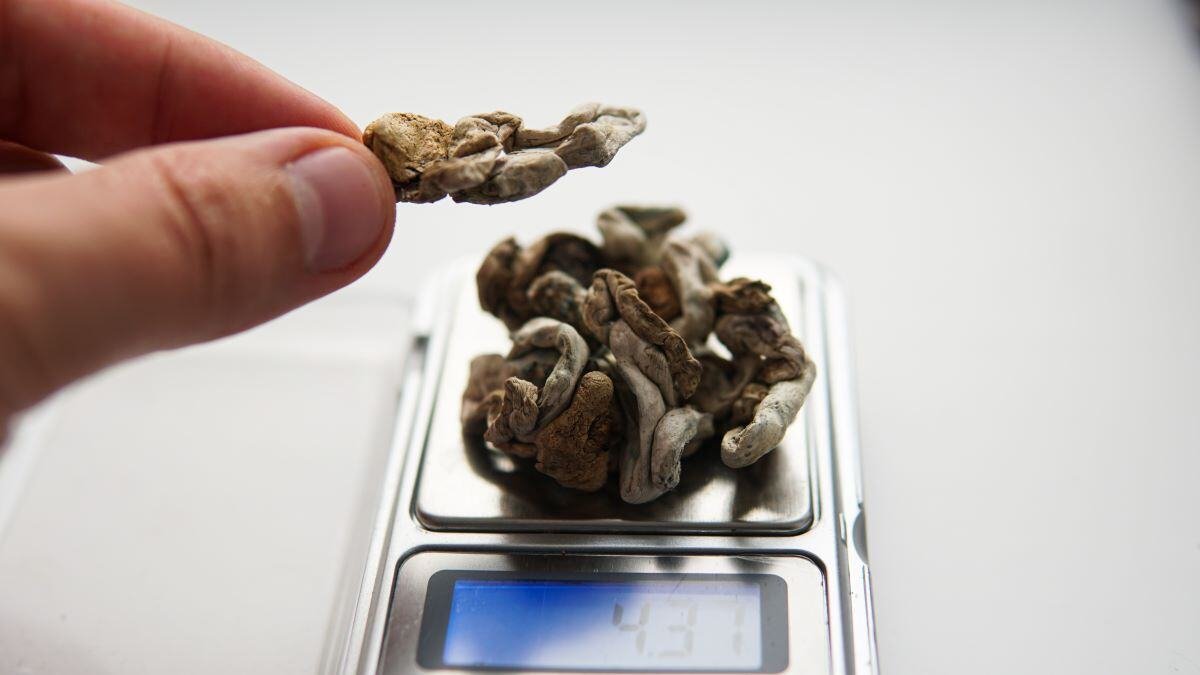 smoking shrooms
